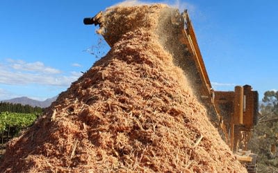 The Importance of Wood Chips and Biofuel