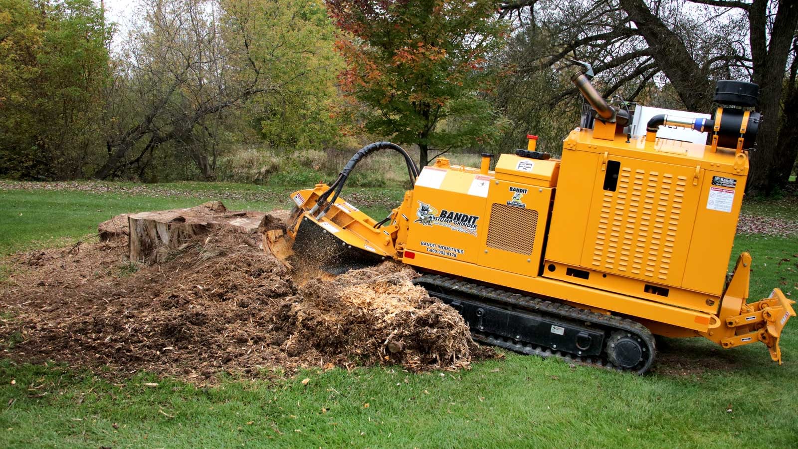 stump-grinder-img1