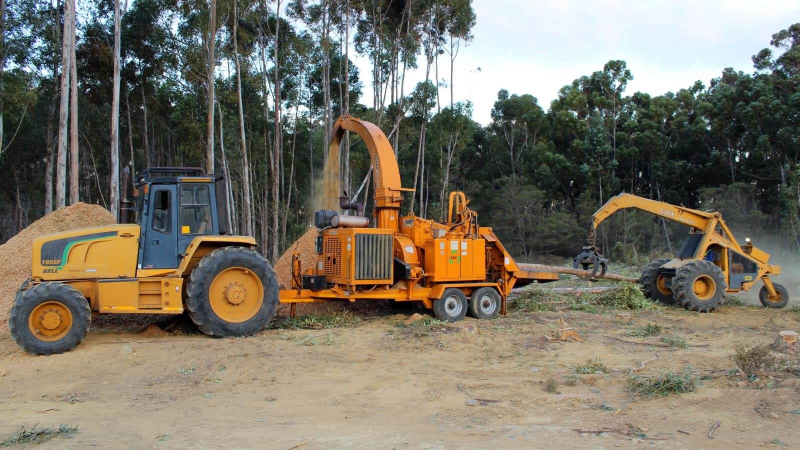 whole tree chippers